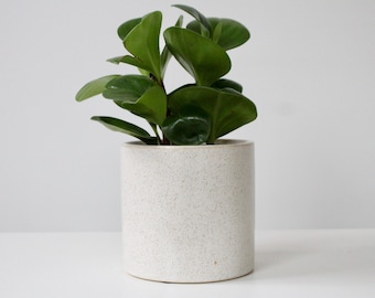 Soft Speckled Clay Planter – Earthy Beige Ceramic Pot for Modern, Japandi & Boho Interiors – Calm Decor for Shelves and Plants