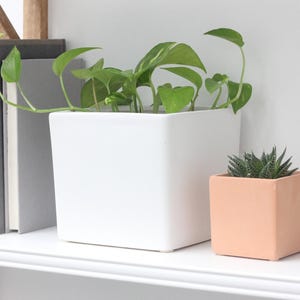 Peut inclure: Un grand pot carré blanc avec des plantes vertes à feuilles, à côté d'un petit pot carré pêche avec une plante succulente. Trois livres sont visibles à gauche.