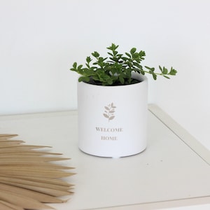 May include: A white ceramic plant pot with a green plant inside. The pot has the text "WELCOME HOME" and a leaf design. The pot is on a white surface, with a dried palm leaf in the foreground. The pot is approximately 10 cm in diameter.