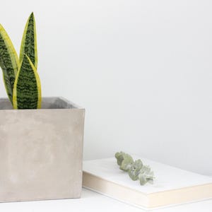 Small Concrete Cement Square Cube Planter Pot