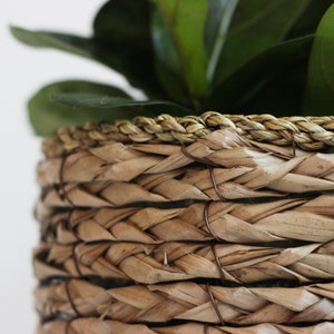 Boho Vintage Cat Tail Woven Plant Stand image 6