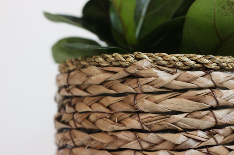 Boho Vintage Cat Tail Woven Plant Stand image 6