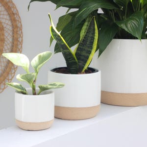 Minimalist Ceramic Plant Pot White on Beige