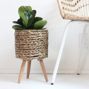 Boho Vintage Cat Tail Woven Plant Stand image 2