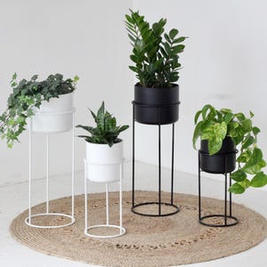 Set of 2 Modern Minimalist Plant Stand in Matte White or Black
