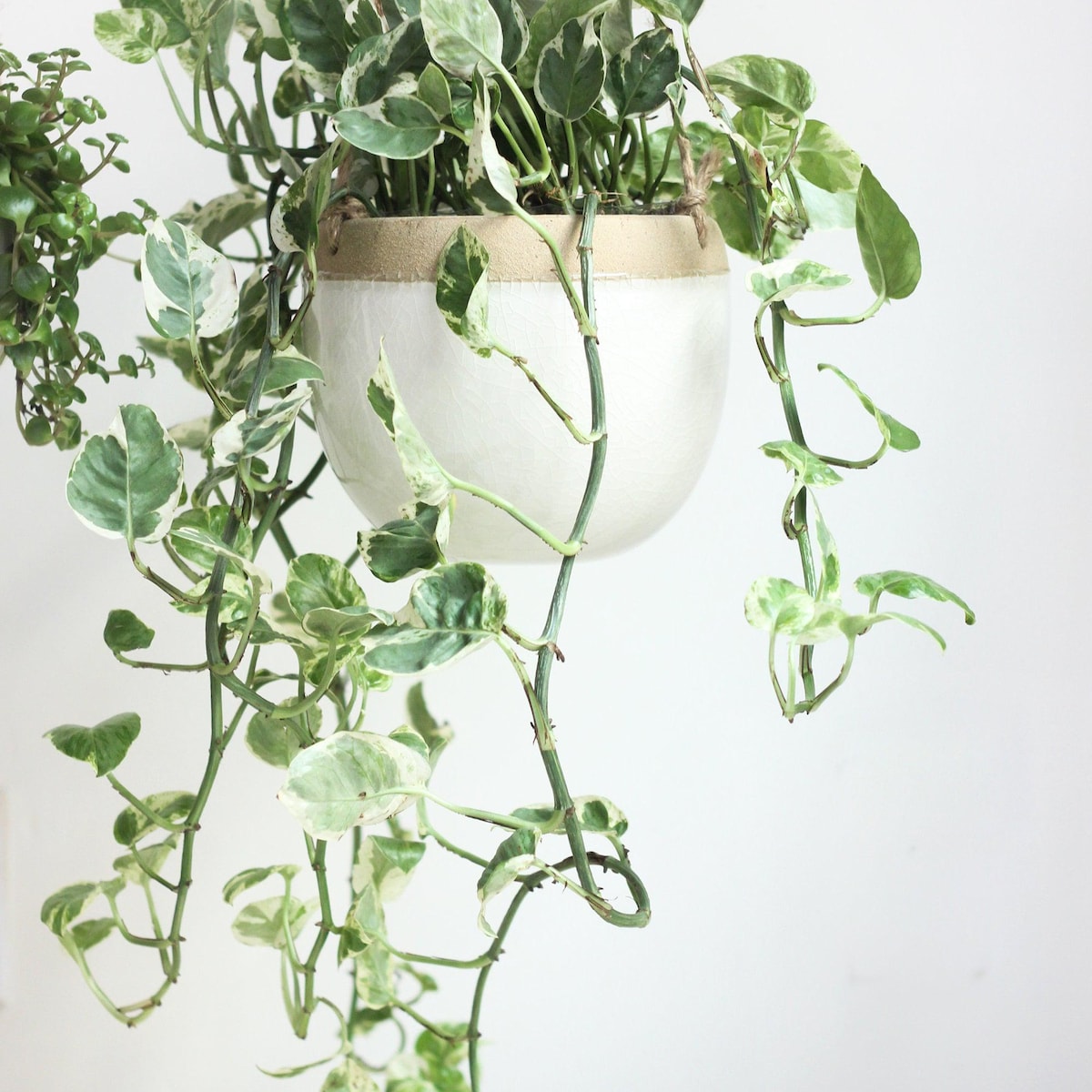 Boho Ceramic Hanging Planter Pot 7 inches