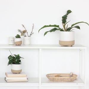 Neutral Matte White and Natural Texture Minimal Footed Planter Pot