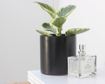 Minimalist Cylinder Succulent and Plant Pot in Matte Black