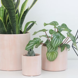 Terracotta Blush Pink Cylinder Planter