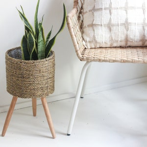 Peut inclure: Un pot de fleurs marron tressé avec trois pieds en bois contient une plante serpent avec des feuilles vertes et jaunes. Une chaise tressée avec un cadre en métal blanc et un coussin crème se trouve à côté du pot. La pièce a des murs blancs et un sol blanc.
