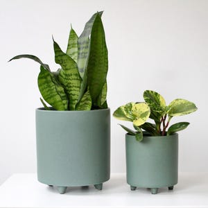 May include: Two green cylindrical planters with small feet, each holding a different houseplant. The larger planter contains a snake plant with tall, striped leaves. The smaller planter holds a plant with variegated leaves.