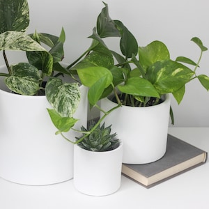 Modern Matte White Terracotta Cylinder Planter Pot