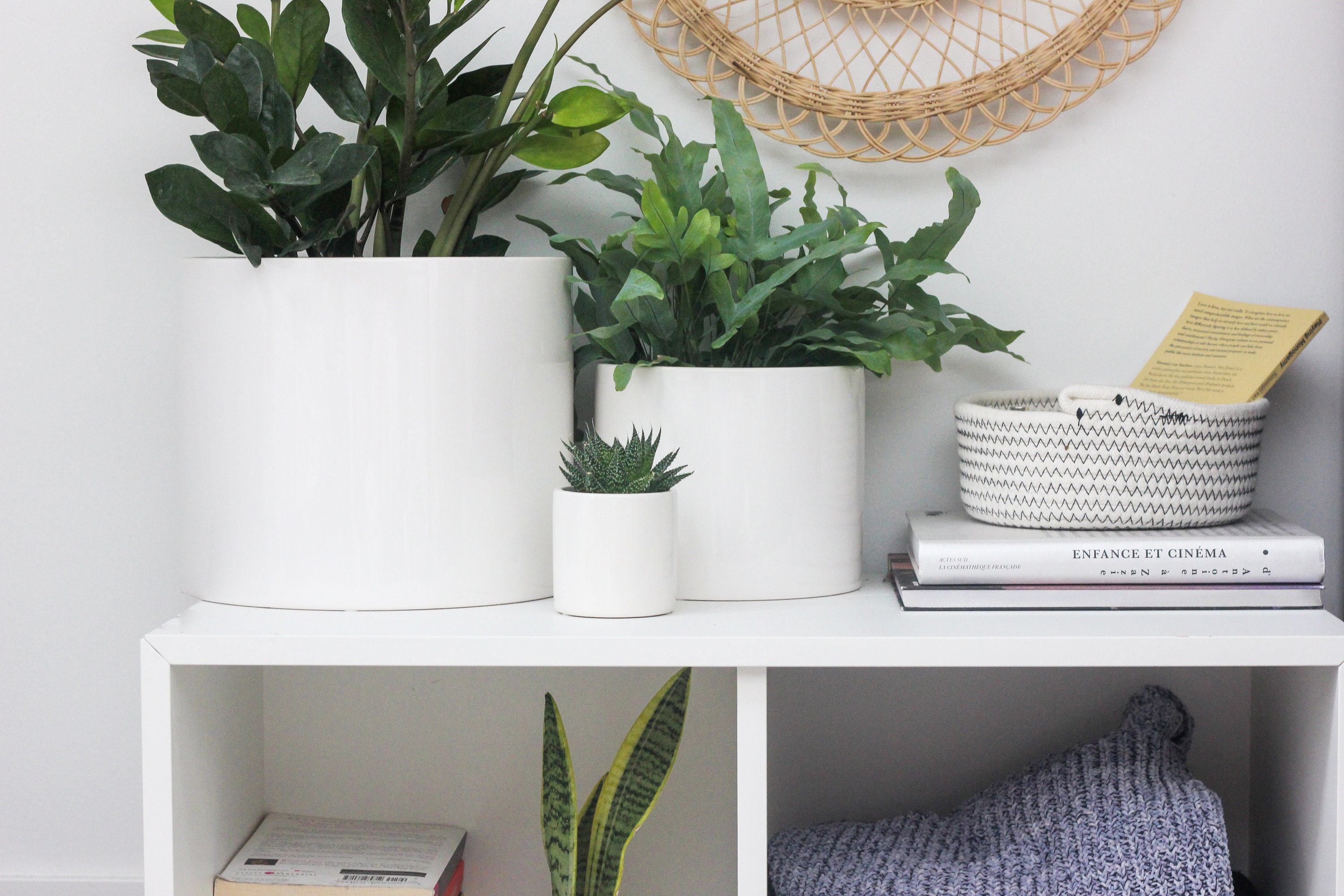 Minimalist Modern Ceramic Plant Pot in White   Etsy