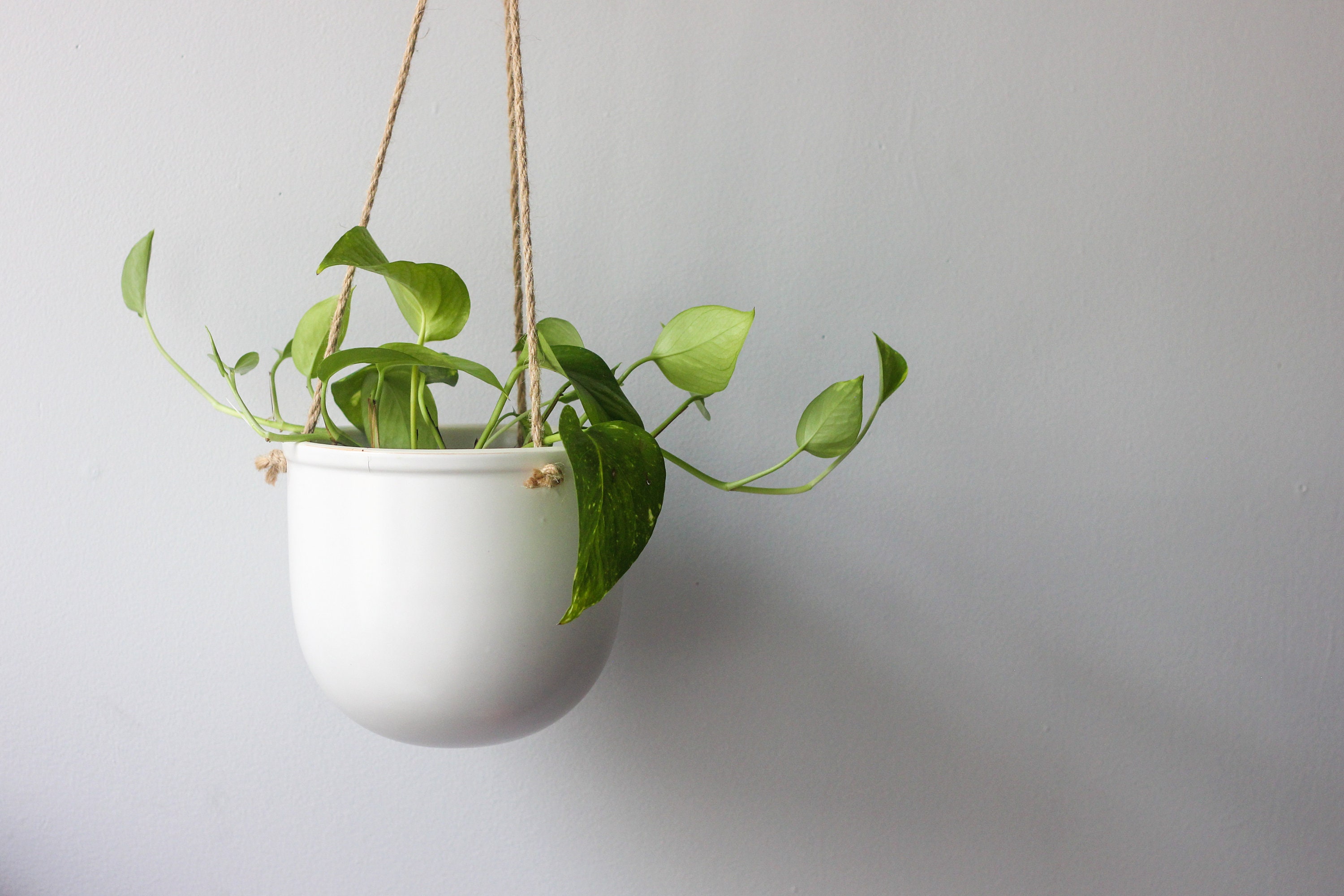 zwaartekracht Fraude Mordrin Large Hanging Planter Pot in Matte White - Etsy Nederland