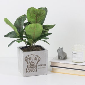 Dogs and Pets Gift Personalized | Engraved Custom Cube Planter Pot
