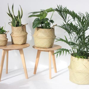 Boho Seagrass Belly Basket Woven Planter with Handles