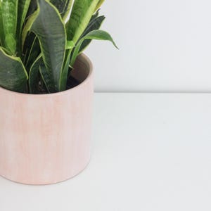 Large Terracotta Blush Pink Cylinder Planter