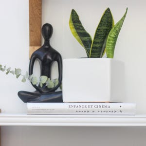 Peut inclure: Une étagère minimaliste avec une sculpture noire, un pot carré blanc avec des plantes serpent, et un livre intitulé "ENFANCE ET CINÉMA". L'étagère est blanche, avec des accents en bois.