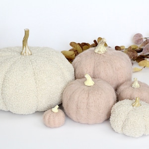 May include: A collection of decorative pumpkins in varying sizes and textures. The pumpkins are in shades of cream and blush pink, with textured surfaces and light brown stems. Autumn leaves are arranged around the pumpkins.