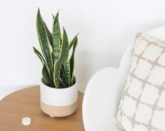 Large Neutral White and Natural Ceramic Footed Planter Pot