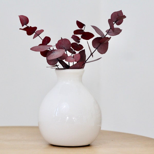 White Bud Vases for Dried and Fresh Flowers with Crackle Glaze