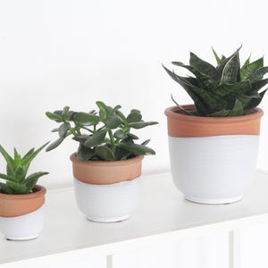 Terracotta and Matte White Boho Ceramic Planter Pot