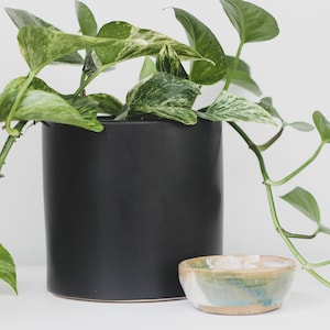 May include: A black ceramic plant pot contains a vibrant green and white variegated pothos plant. A small, handcrafted ceramic bowl with blue, green, and tan glaze sits in front of the pot. The scene is set against a plain white background.