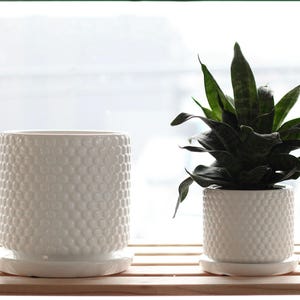Pots de fleurs texturés à bulles en céramique blanche avec soucoupe pour le drainage