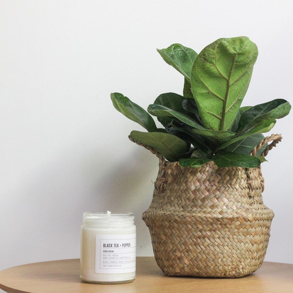 Tabletop Planter Etsy