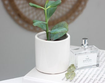 Mini Ceramic Plant Pot in Glossy White