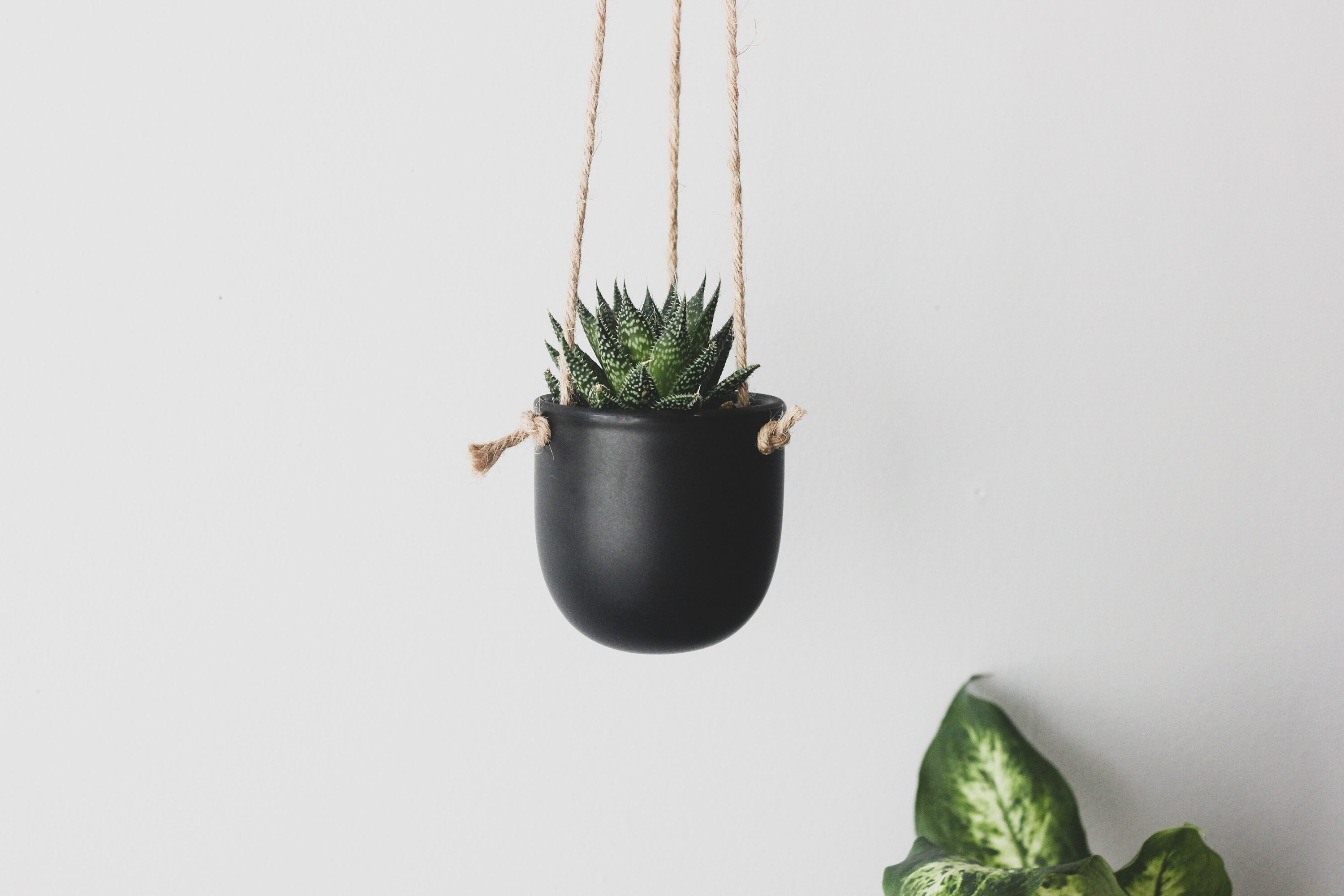 Handmade ceramic planter, Hanging indoor planter, Suspended planter