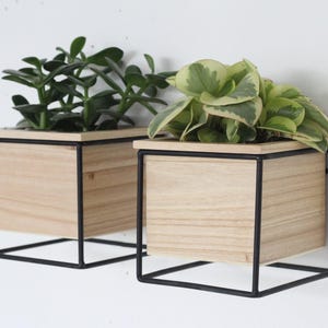 Wall Planter Pot in Black Metal and Wood Modern Minimalist