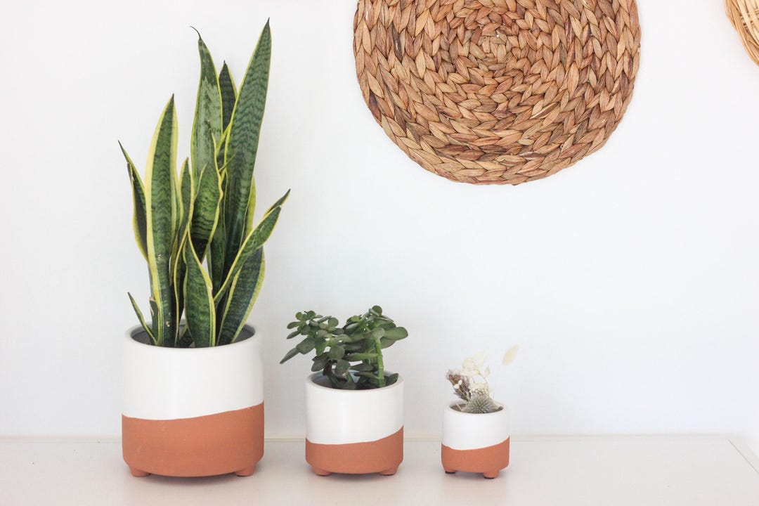 Terracotta and Matte White Footed Boho Minimal Planter Pot - 3 inches