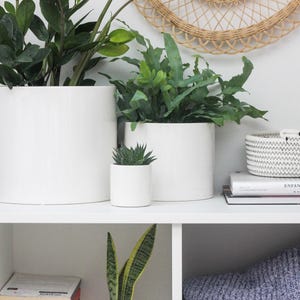 Minimalist Modern Ceramic Plant Pot in White