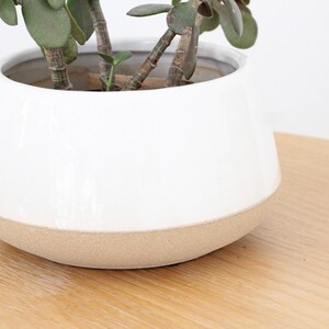 Large Orchid planter in White Ceramic on Beige 画像 4
