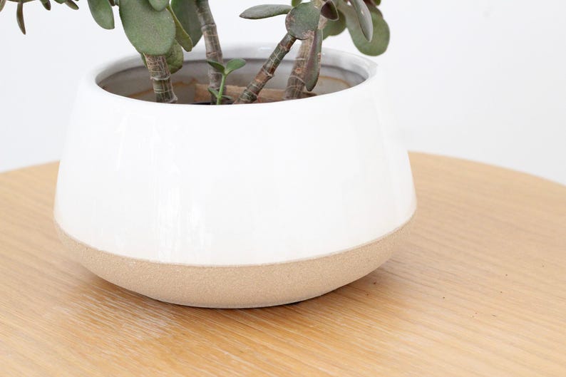 Large Orchid planter in White Ceramic on Beige 画像 4