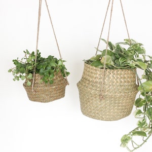 Boho Hanging Seagrass Belly Basket Planter