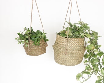 Boho Hanging Seagrass Belly Basket Planter