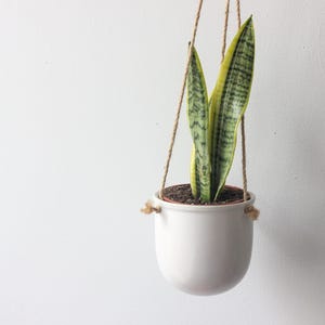 Small Hanging Planter Pot in Matte White