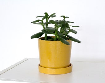 Mustard  Ceramic Planter With Saucer Attached for Drainage