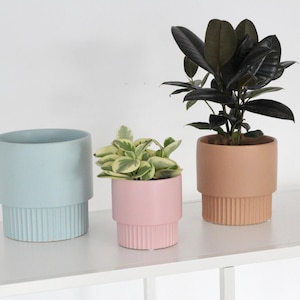 Peut inclure: Trois pots de fleurs en céramique aux couleurs pastel, chacun avec une base côtelée. Les pots contiennent de la verdure, dont une plante aux feuilles vert foncé et deux aux feuilles vertes et blanches panachées. Les pots sont posés sur une étagère blanche.
