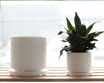 Bubble Textured Plant Pots in White Ceramic With Saucer for Drainage