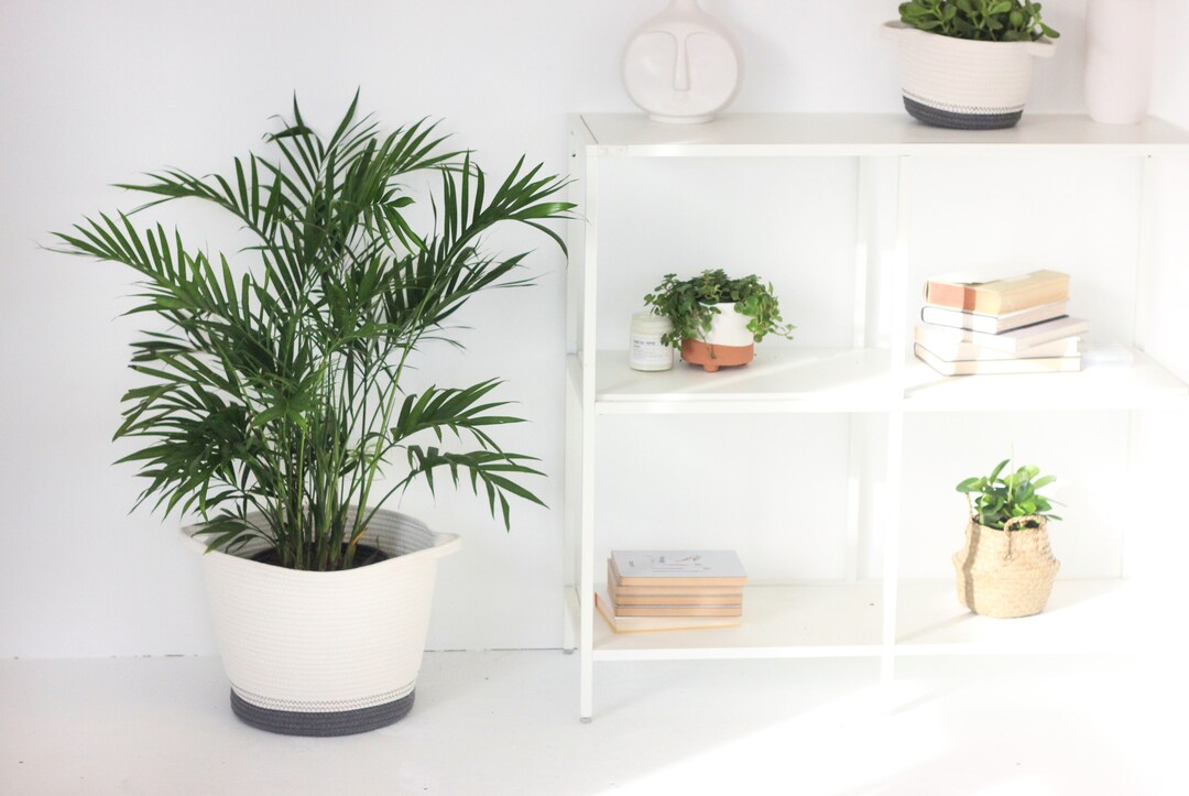 Extra Large Floor Plant Basket Dark Grey and White Cotton Rope Etsy