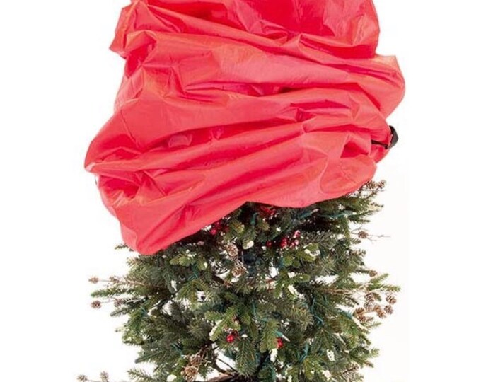 Upright Topiary Tree Storage, Zach