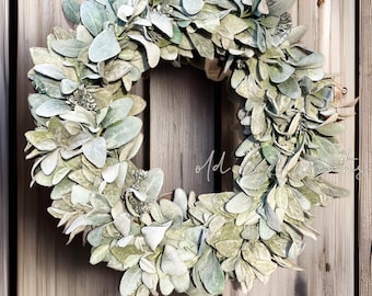 Plain Lamb’s Ear Grapevine Wreath, Neutral Lamb’s Ear Wreath, Lamb’s Ear Grapevine Wreath, Georgette