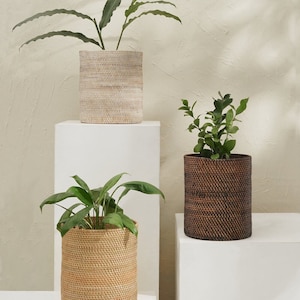 Indoor Rattan Pflanztopf 3 Größen: 22 cm, 27 cm, 32 cm und Farben / Indoor Rattan Pflanzgefäß / Rattan Blumentopf / Korb / Indoor-Topf Geburtstagsgeschenk