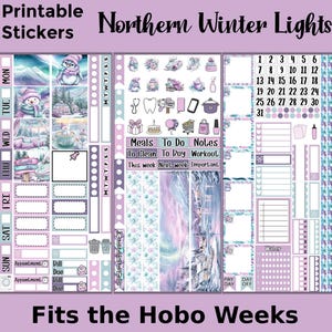 Può includere: Adesivi stampabili con tema invernale con un pinguino, fiocchi di neve e un calendario. Gli adesivi sono progettati per adattarsi al planner Hobo Weeks. Il testo "Northern Winter Lights" è nella parte superiore dell'immagine.