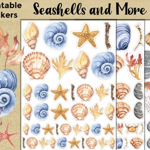 Seashell Printable Stickers: – Seashells and More - Etsy