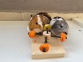 Guinea Pig Twister Feeder Toy, guinea pig wheel, guinea pig food holder, guinea pig wood toy, rotating toy product logo
