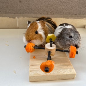 Guinea Pig Twister Feeder Toy, guinea pig wheel, guinea pig food holder, guinea pig wood toy, rotating toy